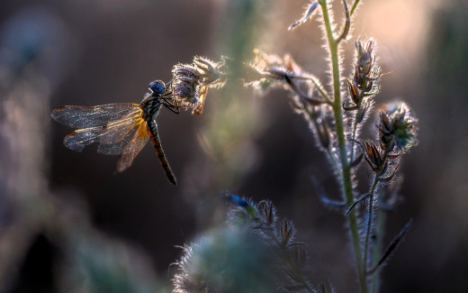 1754076 (a): :1920x1200